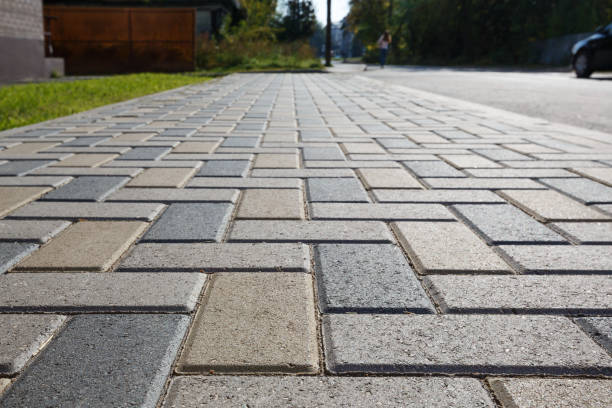Best Professional Driveway Pavers  in Camden, NJ