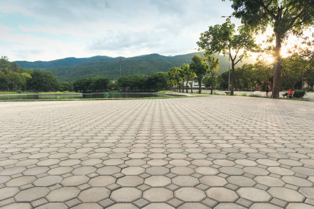 Best Custom Driveway Pavers  in Camden, NJ