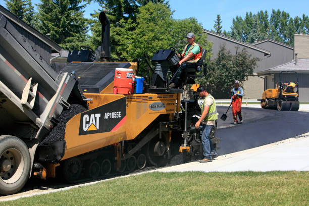 Best Custom Driveway Pavers  in Camden, NJ